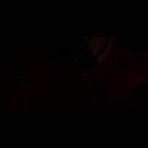 Meet your Posher, Owen